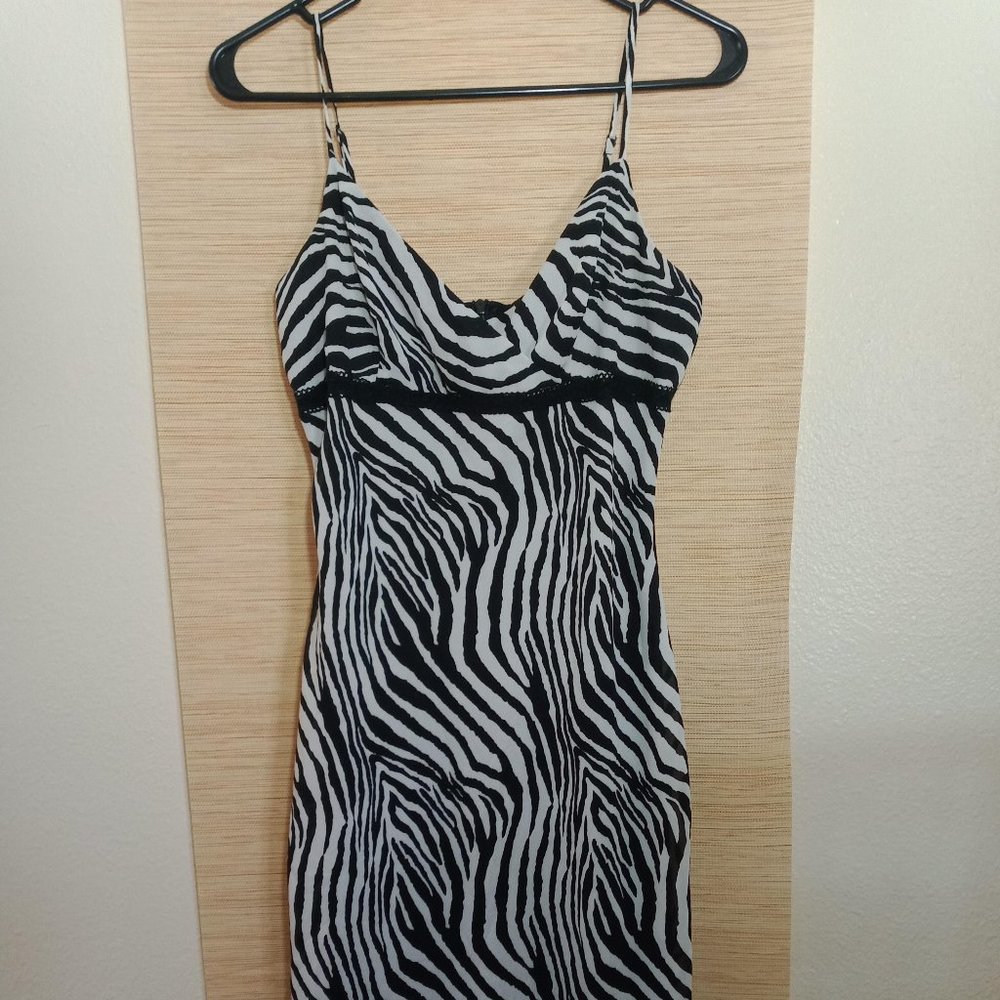 Express zebra striped dress